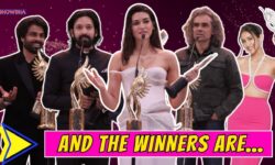 IIFA 2025 OTT: Amar Singh Chamkila Bags Best Film, Kriti Sanon-Vikrant Massey Take Top Honours