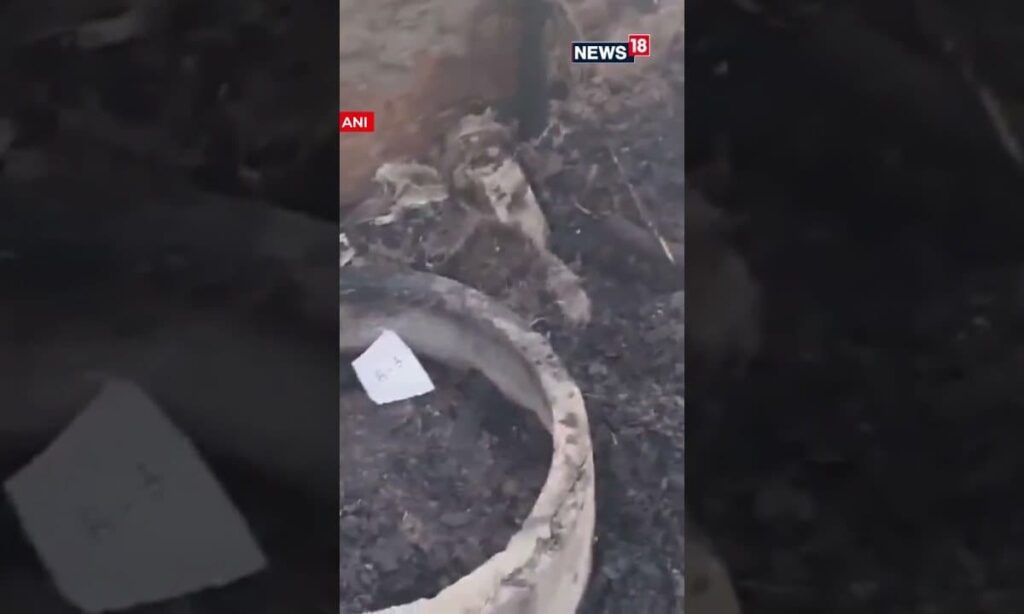 Tragic Fire Breaks Out in Delhi's Anand Vihar Slum, Claiming Three Lives | N18S #Shorts #newsupdate