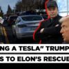 Musk loses $29bn In One Day As Tesla Shares Take A Hit, Trump Gives Shout Out To "Great American"