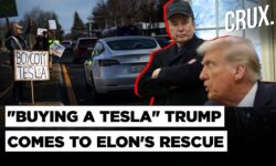 Musk loses $29bn In One Day As Tesla Shares Take A Hit, Trump Gives Shout Out To "Great American"