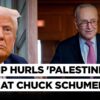 'Not Jewish Anymore' Trump Attacks 'Palestinian' Chuck Schumer At Oval Office Meeting with Irish PM