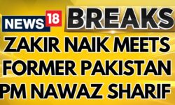 Fugitive Islamic Preacher Zakir Naik Meets Former Pakistan PM Nawaz Sharif | English News | News18
