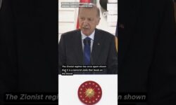 Erdogan Denounces Israel as a 'Terror State' After Deadly Gaza Strikes