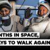 Sunita Williams And Butch Wilmore's 45-Day Rehabilitation To Overcome Effects Of Microgravity | NASA