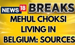 According To Sources Mehul Choksi Is Living In Belgium With His Wife, Preeti | Mehul Choksi News