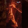 #WATCH | South Korea Hit With Multiple Forest Fires | N18S