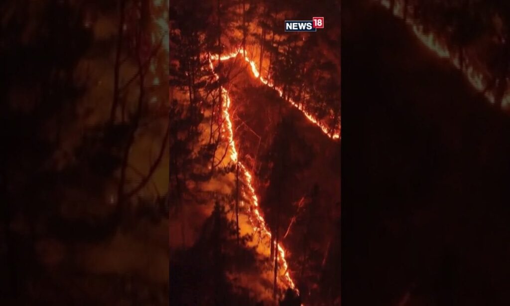 #WATCH | South Korea Hit With Multiple Forest Fires | N18S