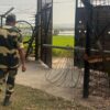 BSF Thwarts Smuggling Bid In West Bengal, 1 Injured After Jawan Fires In Self-Defence