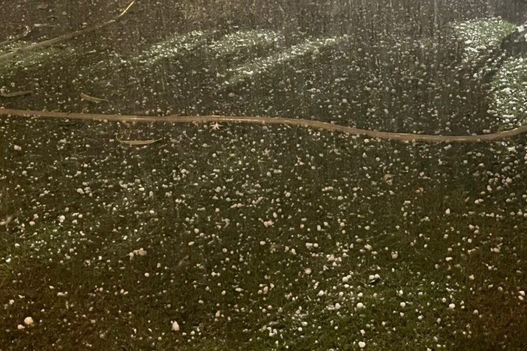 Delhi-NCR Receives Hailstorm, Strong Winds On Holi Eve