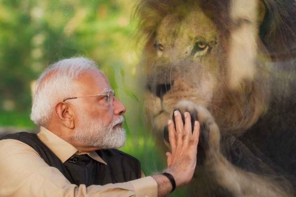 From Lions To Orangutans And Zebras, PM Modi's Day Out With Vantara's Animals | In Pics