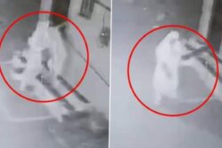 ‘Stree’ In Gwalior? Mysterious Woman Rings Doorbells At Midnight And Then... | Video