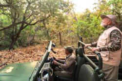 PM Modi Announces Asiatic Lion Census This May At National Wildlife Board Meeting In Gujarat