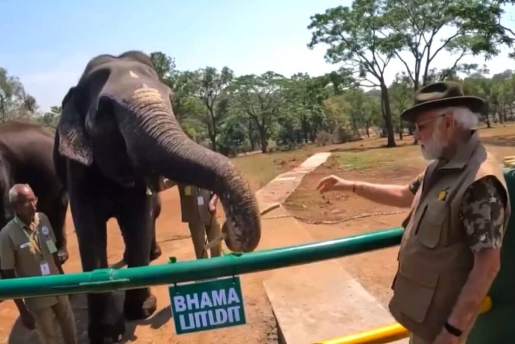 PM Modi Goes On Lion Safari At Gir Wildlife Sanctuary On World Wildlife Day