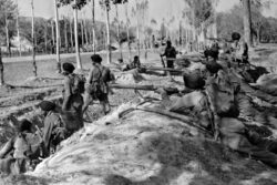 How Was The Army Divided During Partition? Pakistan Got 1,31,000 Soldiers, India Got...