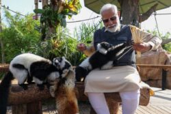 PM Narendra Modi Commends Anant Ambani For Vantara, Calls It 'Safe Haven For Animals'