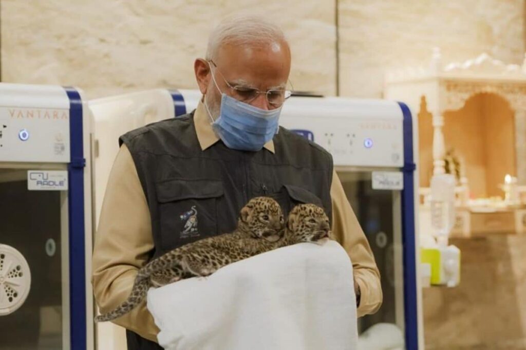 ‘Lioness With Spinal Injuries, Abandoned Leopard Cubs’: Animal Care At Anant Ambani’s Vantara Impresses PM Modi