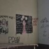 'Azad Kashmir' Graffiti On Jadavpur University Walls, Police File Case Against PDSF Members