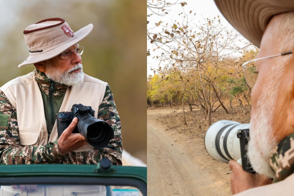 PM Modi Turns Wildlife Photographer, Shares Pictures Of Lions, Lionesses And Cubs From Gir