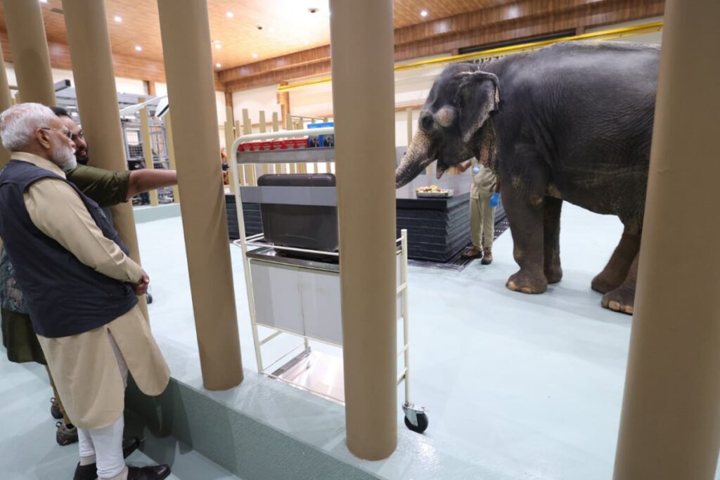 'Treated With Utmost Care At Vantara': PM Modi Shares Stories Of Rescued Elephants, Says 'Be Kind Towards Animals'