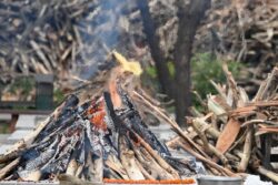 Grandfather Dies After Jumping Into Funeral Pyre Of Grandson Who Had Killed Wife And Self