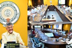 Andhra Pradesh Govt Launches 'Smart Street Project', Street Vendors To Get Modern Shops