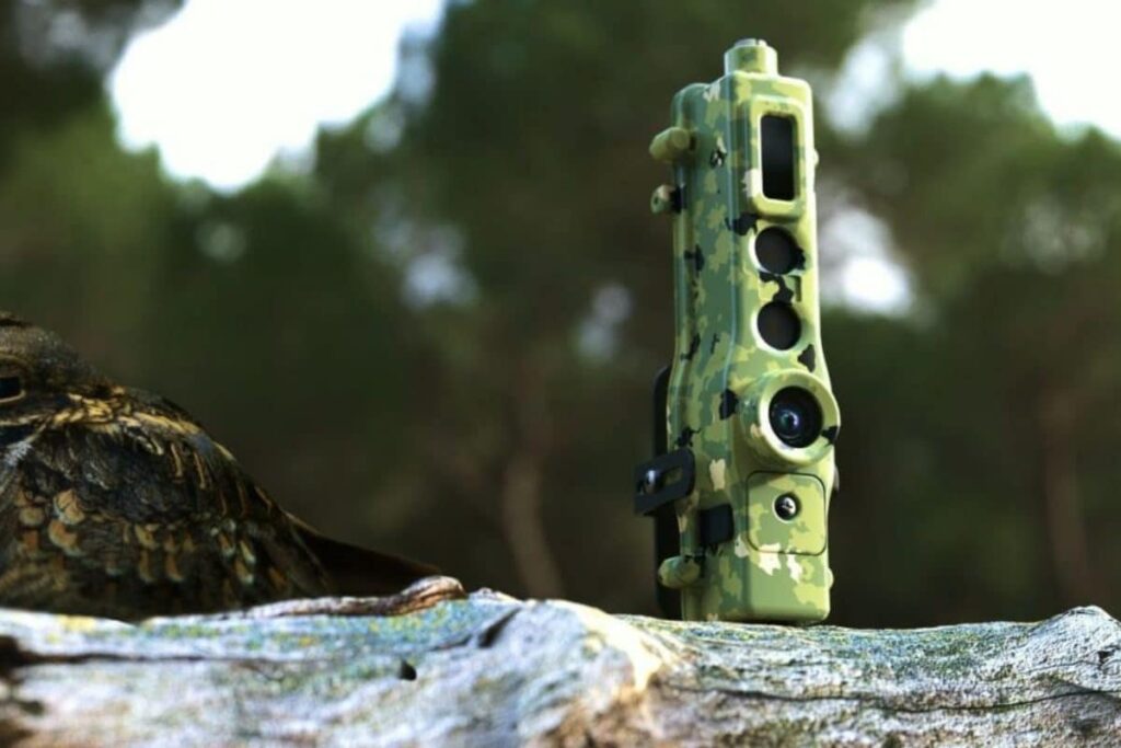 UP To Get AI-Enabled Cameras To Monitor Wildlife, Keep Check On Man-Animal Conflicts