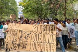 'Prisons Can Be Constructed For Officers To Enjoy': SC Bashes Telangana Govt Over Tree Felling In Hyderabad