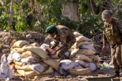 Grenade Attack On Jalandhar YouTuber’s Home: Army Jawan Arrested For Training Accused