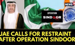 UAE Foreign Minister Abdullah bin Zayed Al Nahyan Gives Call For Restraint Between India & Pakistan