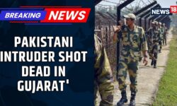 BSF Foils Infiltration Attempt: Pakistani Intruder Shot Dead in Gujarat's Banaskantha District