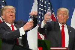 Did Donald Trump Mock Pakistan Over Indus Treaty Suspension? Here's The Truth Behind Viral Video