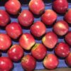 After Call For Boycott Of Turkiye Apples, Pune Trader Claims He Received Threat from Pakistan