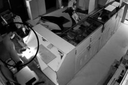 Naked Burglar Breaks Into Bengaluru Shop, Steals Phones Worth Rs 25 Lakh