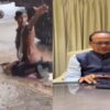 Farmer Tries To Save Crop From Rains In Viral Video, Then Minister Shivraj Chouhan Steps In
