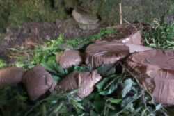 Terror Hideout Busted In J&K's Poonch Days After Pahalgam Attack, 5 IEDs Recovered