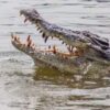 Infamous Serial Killer ‘Doctor Death’, Who Fed Victims To Crocodiles, Held From Rajasthan
