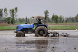 Early Monsoon On Horizon Raises Farmers' Hopes For Timely Sowing, Heat Relief
