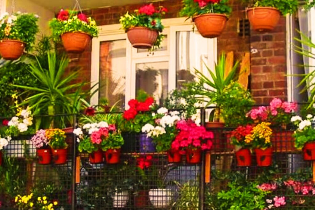 After Pune Tragedy, Lucknow Bans Flower Pots On Balconies To Prevent Fatal Accidents