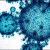 Which Countries Are Reporting Surge In Covid-19 Cases? Should You Travel To These Countries?