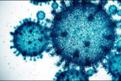 Which Countries Are Reporting Surge In Covid-19 Cases? Should You Travel To These Countries?