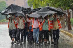 Here's What You Should NOT Do If You Are Stuck In A Storm And What To Do After | Explained