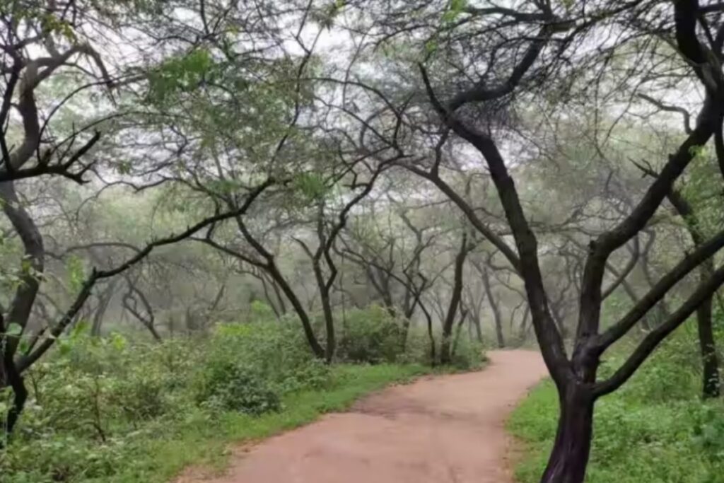 How The UP Government Is Bringing Dwapar Yug To Life In Vrindavan’s Forests