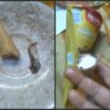 Havmor Fined Rs 50,000 After Gujarat Woman Finds Lizard's Tail In Ice Cream | Video