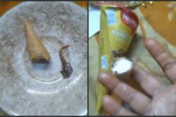 Havmor Fined Rs 50,000 After Gujarat Woman Finds Lizard's Tail In Ice Cream | Video