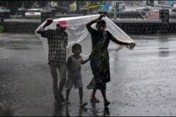 Pre-Monsoon Rains Bring Relief And Ruin Across Maharashtra: Crops Damaged, Farmers In Distress
