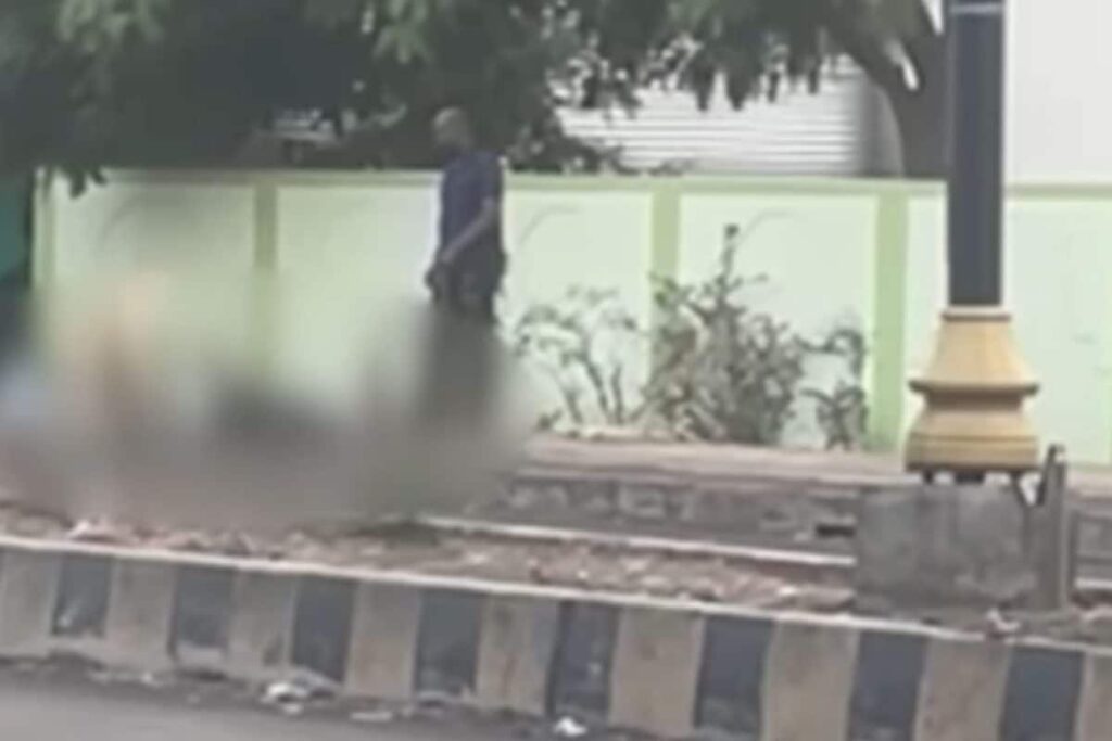 Maharashtra Man Kills Elder Brother With Iron Rod In Daylight, Video Goes Viral