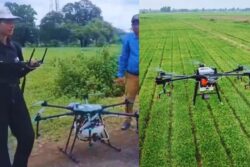 After Just 15-Day Training, The Income Of This 'Drone Didi' Jumped Rs 10,000 A Month