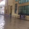 Bengaluru Wakes Up To Waterlogged Streets, Yellow Alert Issued | Check Weather Forecast