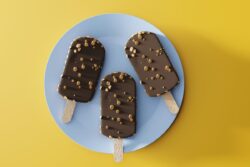 Dead Lizard In Ice-Cream Angers Locals In Ludhiana, Health Officials To Examine Samples