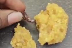 Man Alleges Cockroach In Andhra Pradesh Temple's 'Prasadam', Official Refutes Claim